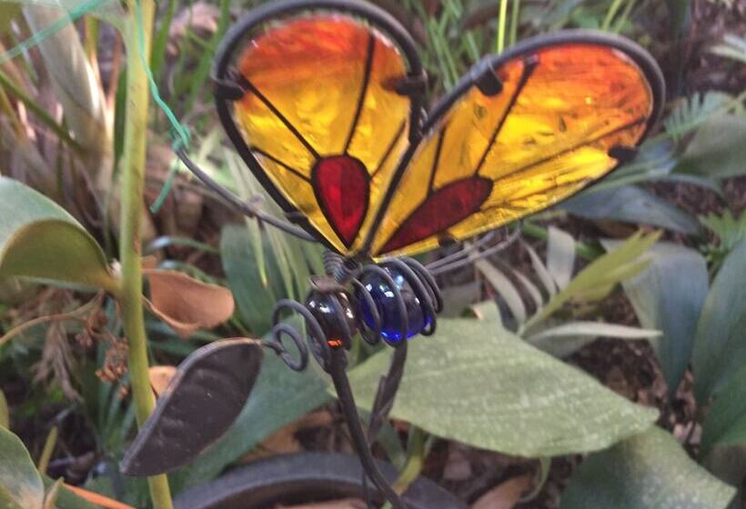 Мотель White Gums Motor Inn