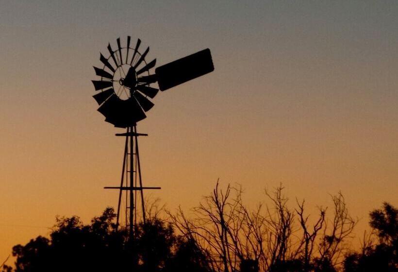 Мотель White Gums Motor Inn