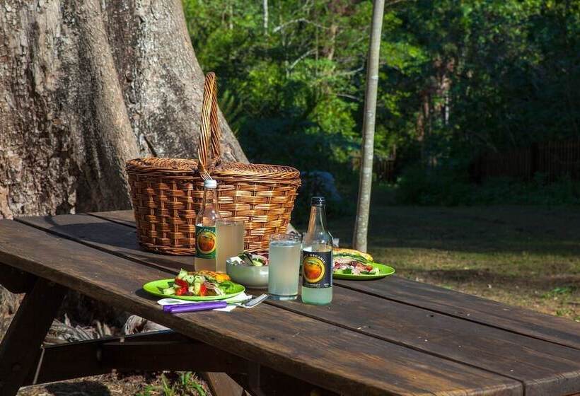 Crystal Creek Rainforest Retreat