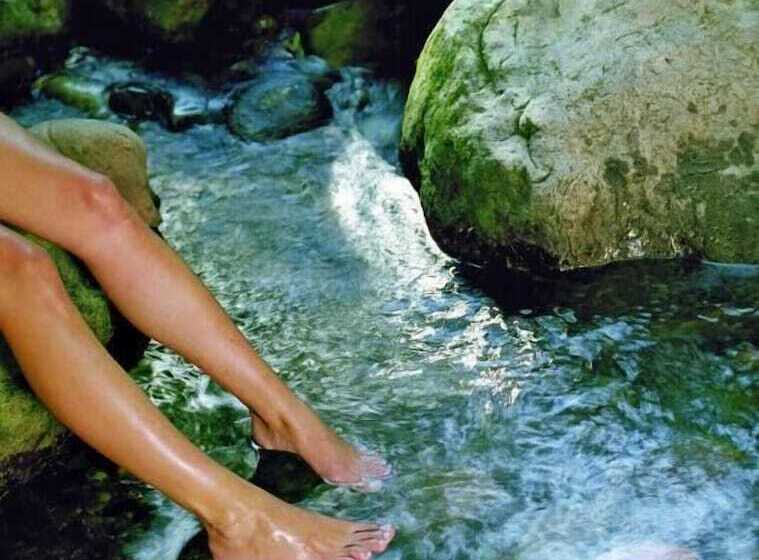 Crystal Creek Rainforest Retreat