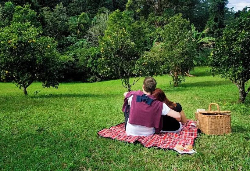 Crystal Creek Rainforest Retreat