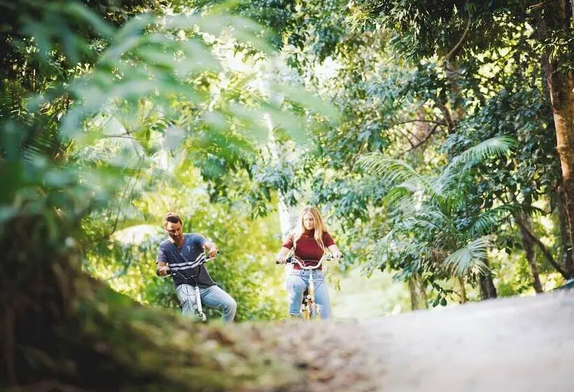 Crystal Creek Rainforest Retreat