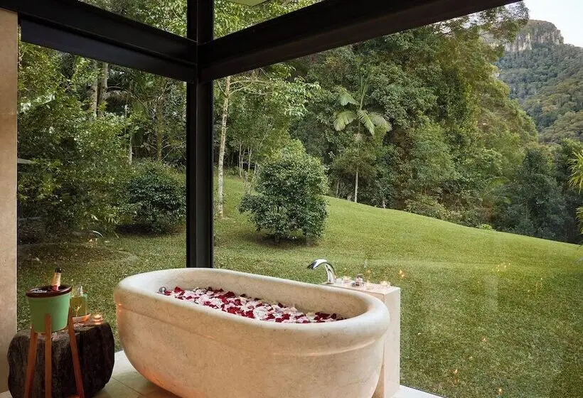 Crystal Creek Rainforest Retreat