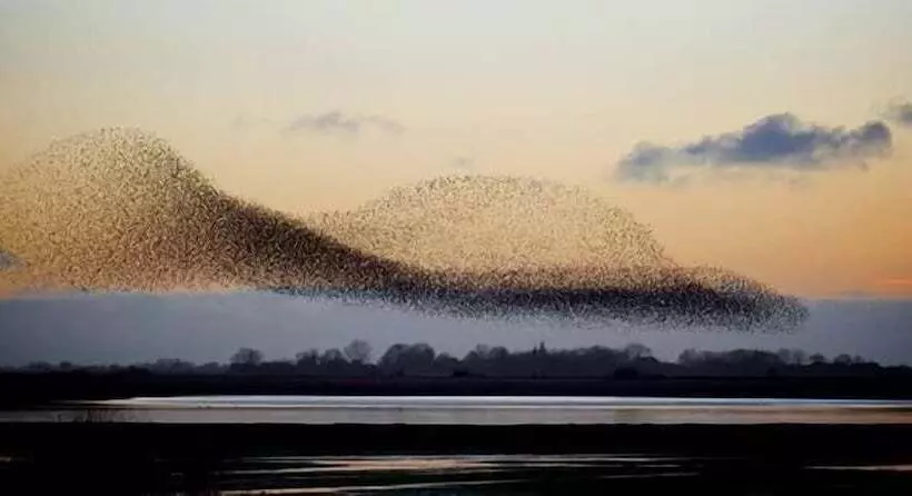 Hotelli Rudbøl Grænsekro