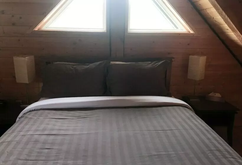 Wild Pacific Waterfront Cabins