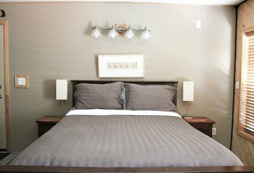 Wild Pacific Waterfront Cabins