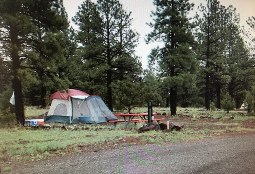 Canyon Motel And Rv Park