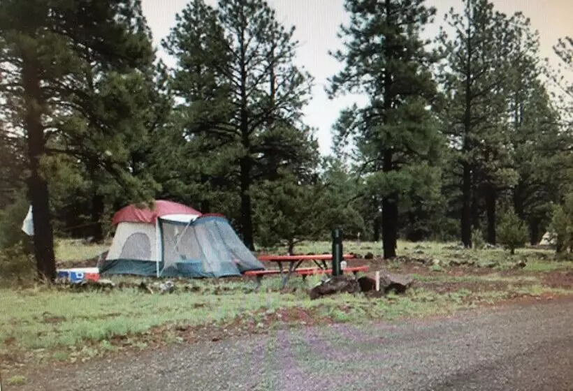 Canyon Motel And Rv Park