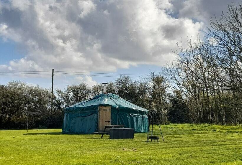 Hawthorn Yurt Award Winning Wych Elm Glamping