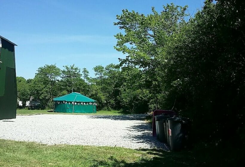 Hawthorn Yurt Award Winning Wych Elm Glamping