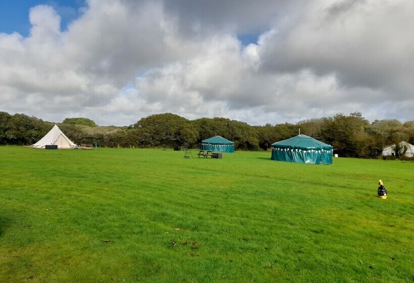 Hawthorn Yurt Award Winning Wych Elm Glamping
