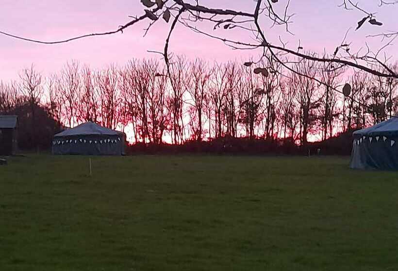 Hawthorn Yurt Award Winning Wych Elm Glamping
