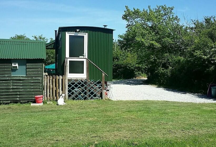 Hawthorn Yurt Award Winning Wych Elm Glamping