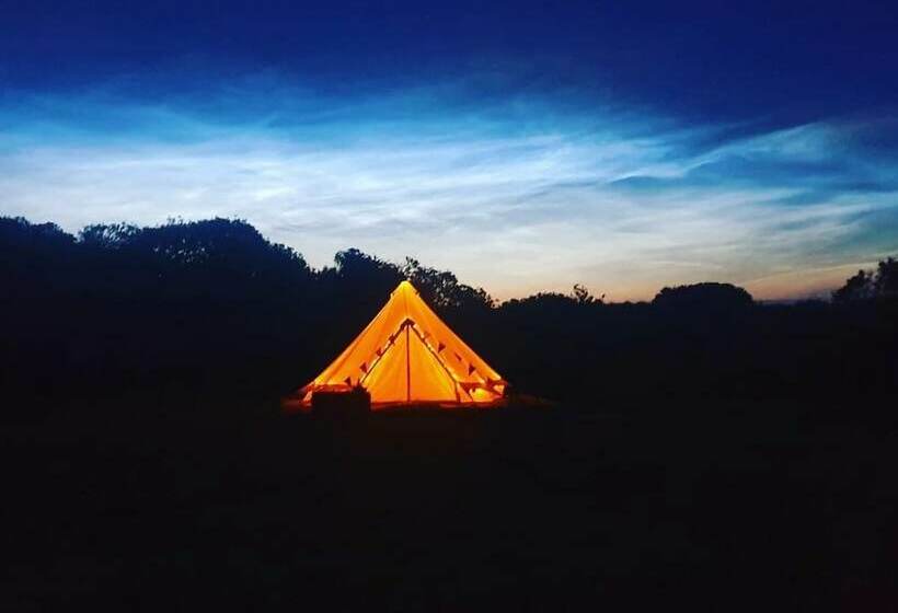 Hawthorn Yurt Award Winning Wych Elm Glamping