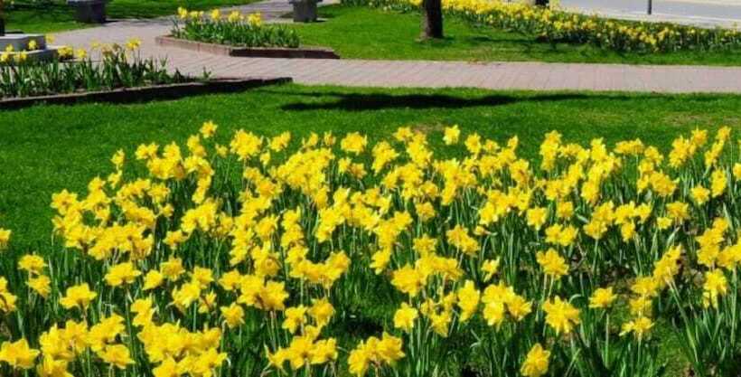 Мотель Mountain Brook Lodge