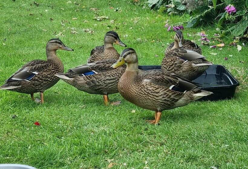 Paddock Cottage Thorpe Arnold, Melton Mowbray