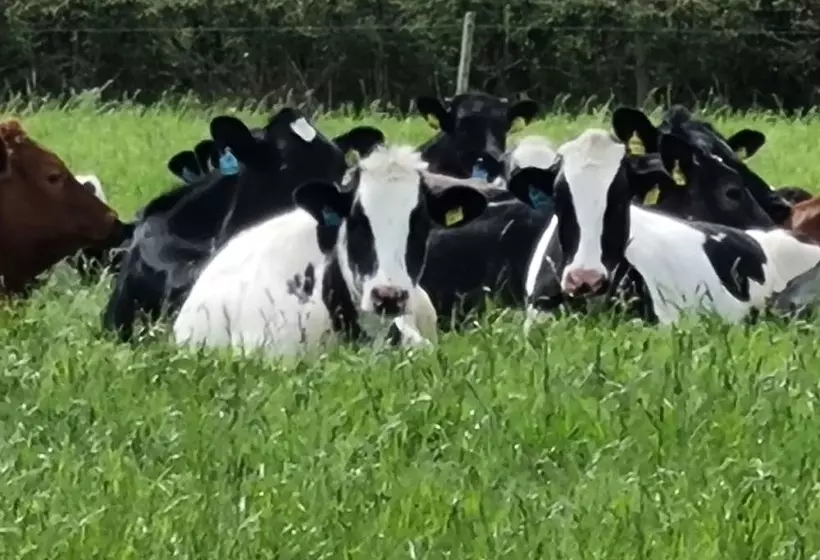 Paddock Cottage   Thorpe Arnold, Melton Mowbray