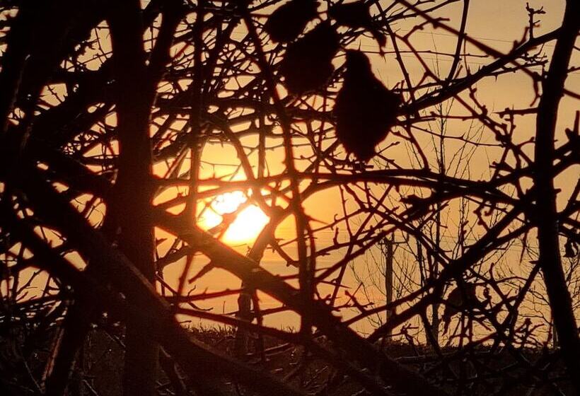 Paddock Cottage Thorpe Arnold, Melton Mowbray