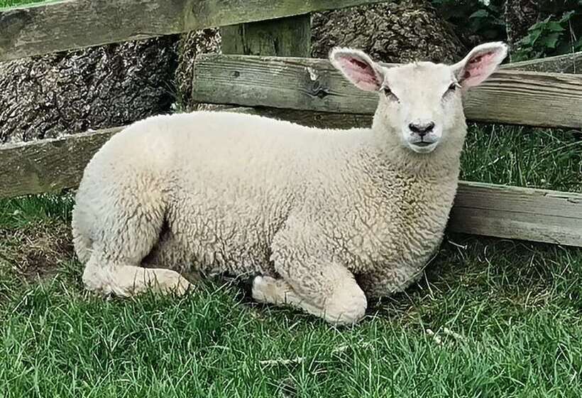 Paddock Cottage Thorpe Arnold, Melton Mowbray