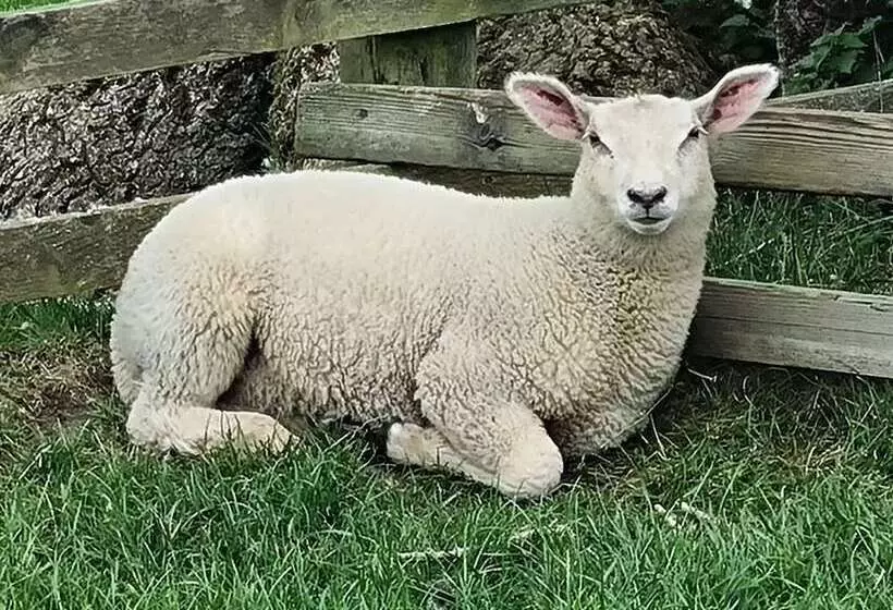 Paddock Cottage   Thorpe Arnold, Melton Mowbray