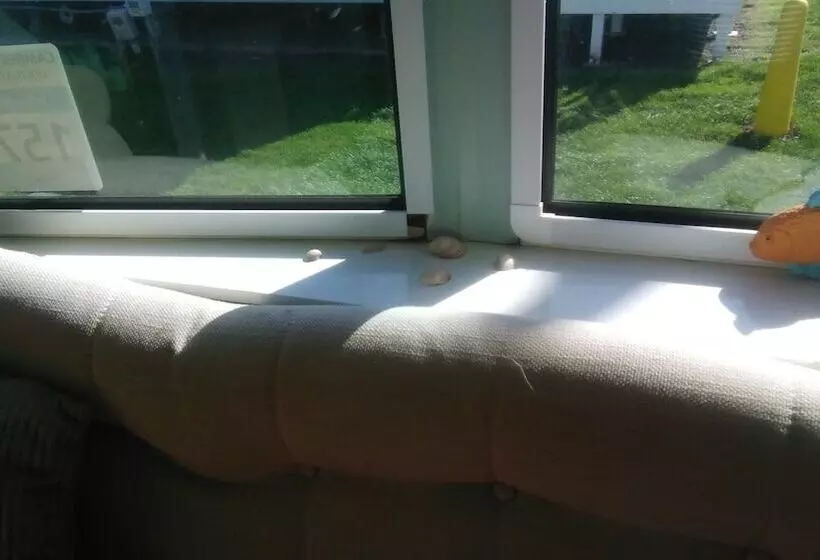 レジデンス Charming 3bed Caravan In Camber Food Rest