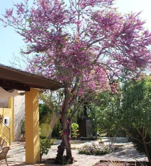 호텔 Agroturismo Son Estrany