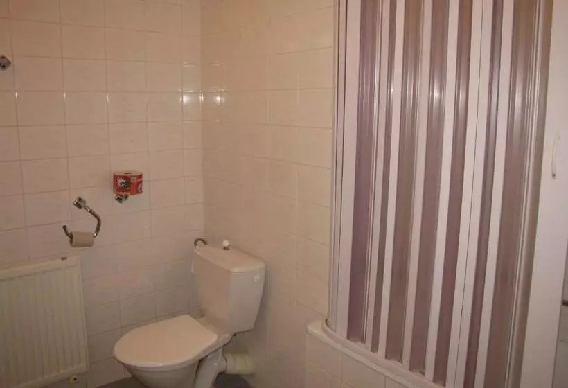 فندق Bílá Růže