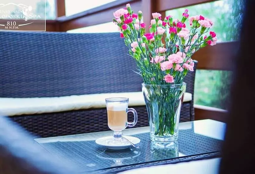 هتل Karkonoski Spa Bufet Mini All Inclusive Gratis!