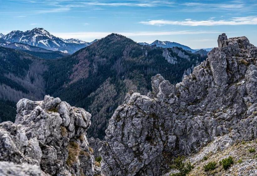 בית מלון כפרי Osw Moszczeniczanka