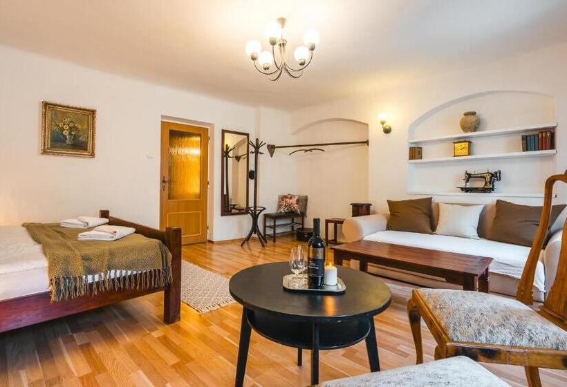 호텔 Penzion U Náměstí At The Town Square