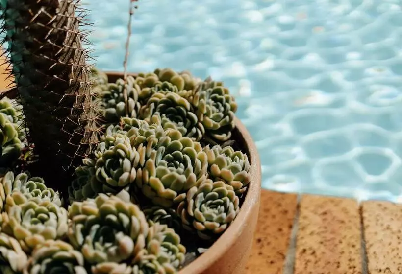 ペンション Carmichael House Boutique