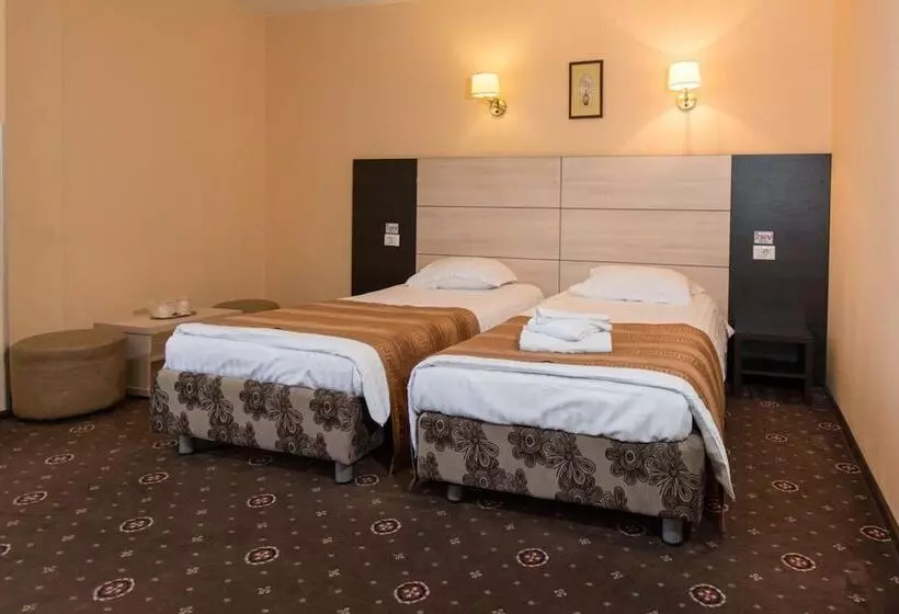 ペンション Casa Mureșan