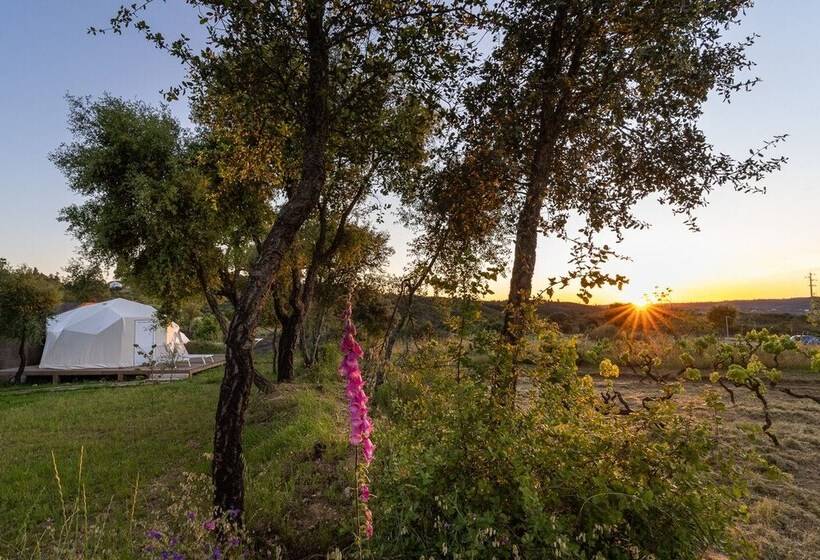 فندق Gavião Nature Village