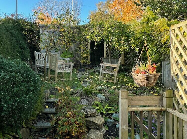 Charming Cottage In The Heart Of Sherborne