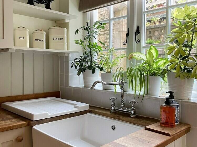 Charming Cottage In The Heart Of Sherborne