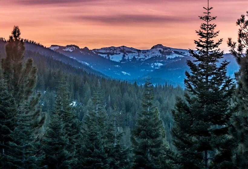 Truckee Pines Retreat Game Room & Forest Views