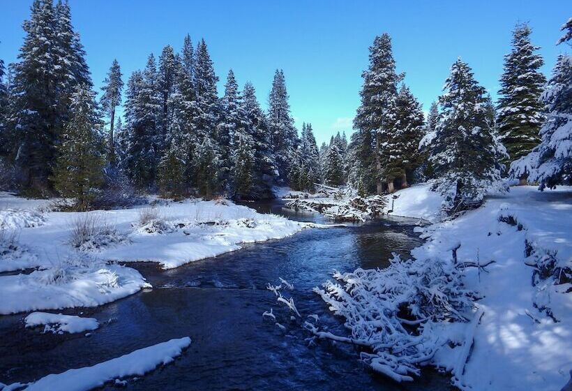 Truckee Pines Retreat Game Room & Forest Views