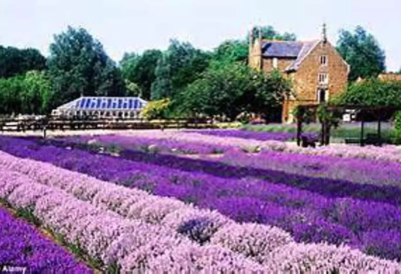 Residenssi Oakdene.....perfect For Couple Or Singles