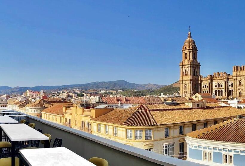 هتل Vincci Larios Diez