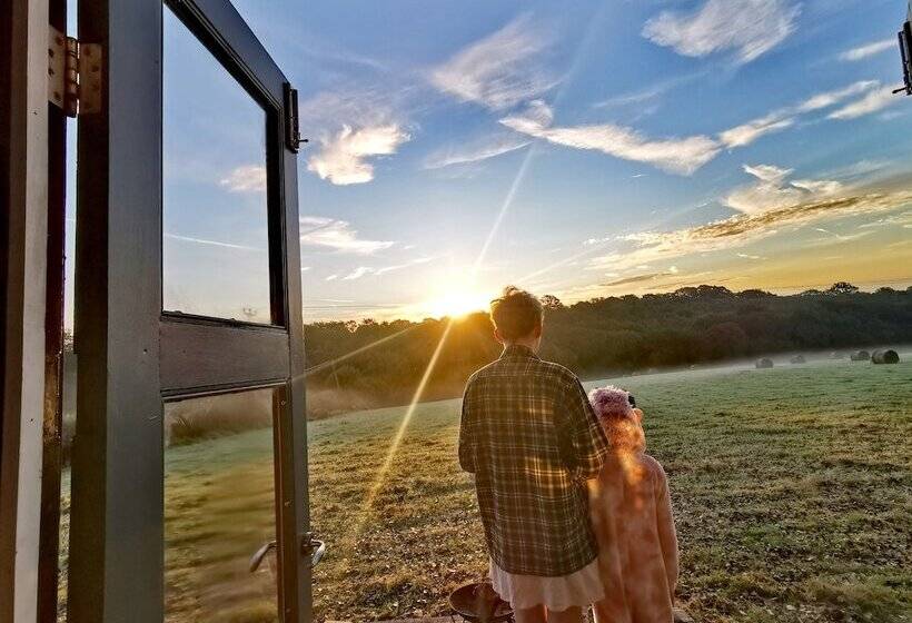 ホテル Gorgeous Horsebox At Glamp In Style In East Sussex