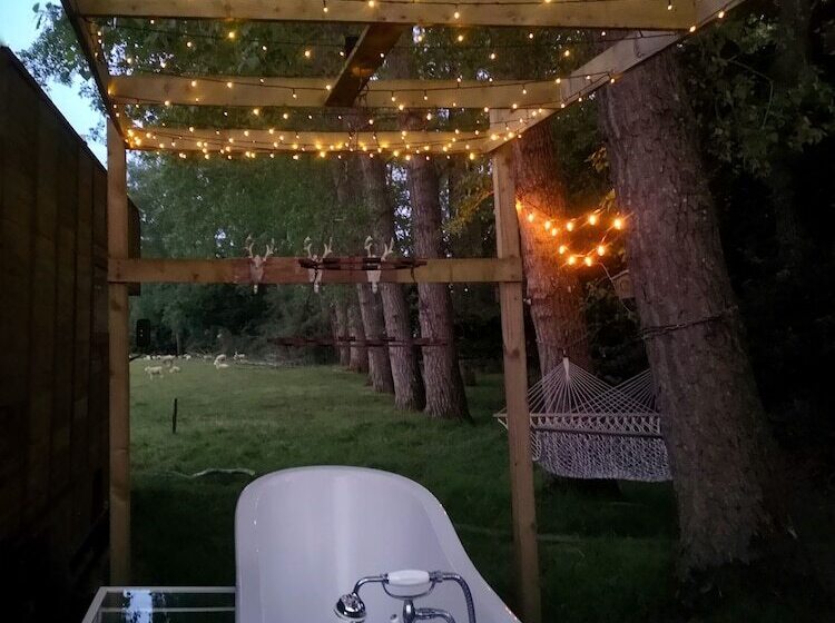 ホテル Gorgeous Horsebox At Glamp In Style In East Sussex