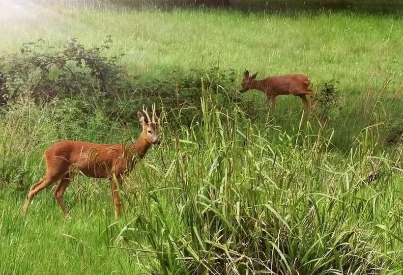 Hotelli Gorgeous Horsebox At Glamp In Style In East Sussex