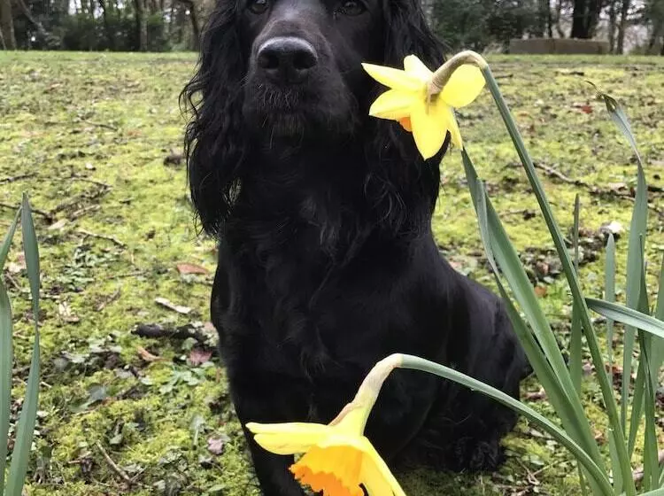 James  Place At Castle Cottage