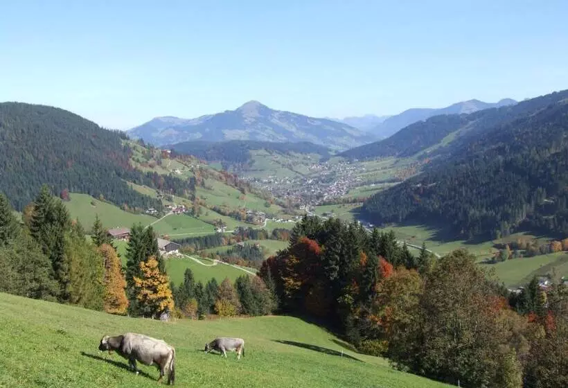 Bed and Breakfast Alpenchalet Almrose