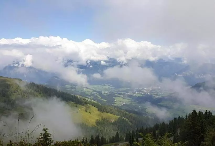 Bed and Breakfast Alpenchalet Almrose