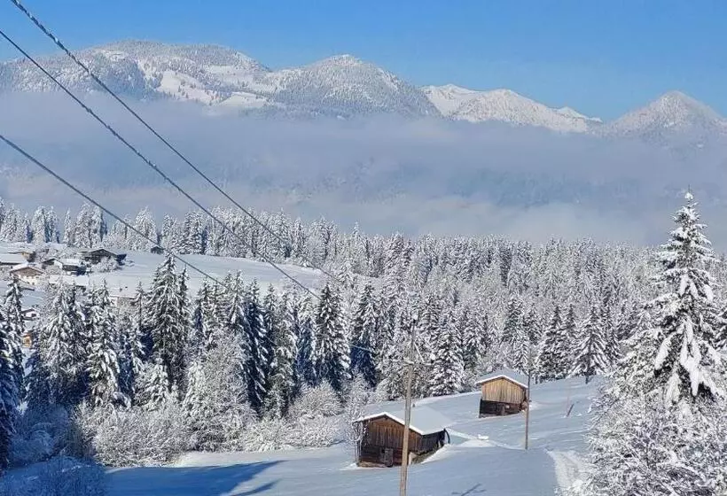 Bed and Breakfast Alpenchalet Almrose