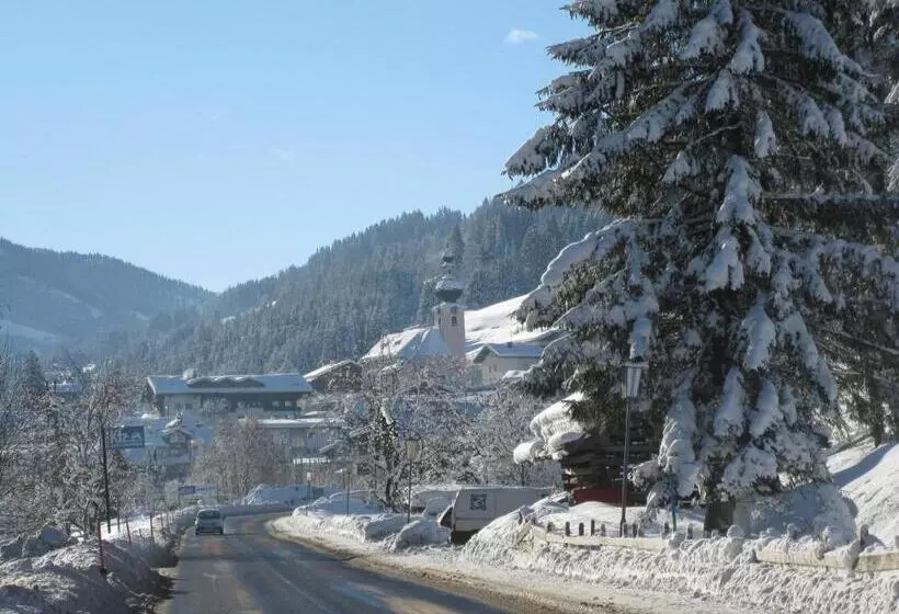 Bed and Breakfast Alpenchalet Almrose