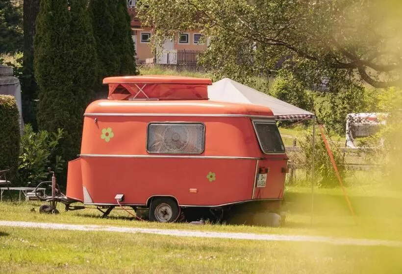 Fischerhof Glinzner Hotel Restaurant Camping