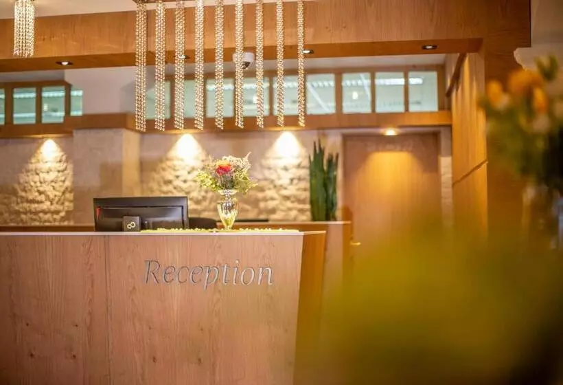 Отель Alpina Deluxe