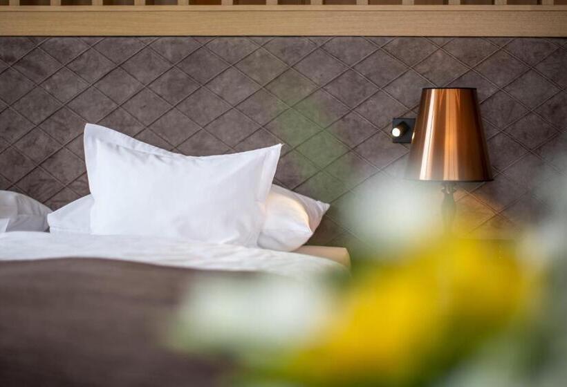 酒店 Alpina Deluxe